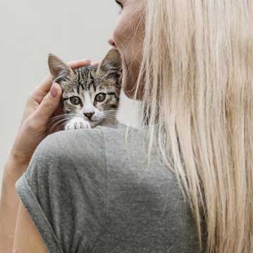 Demanda por coche defectuoso en El Prat de Llobregat